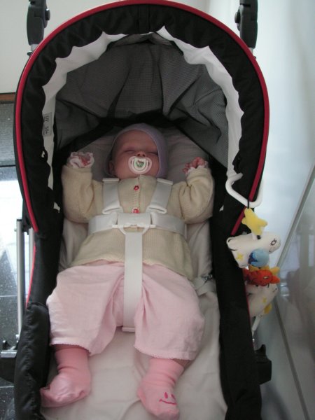 eva6mdrandalltiedup.jpg