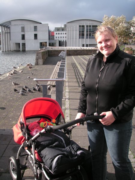 reykjavikrdhuss.jpg